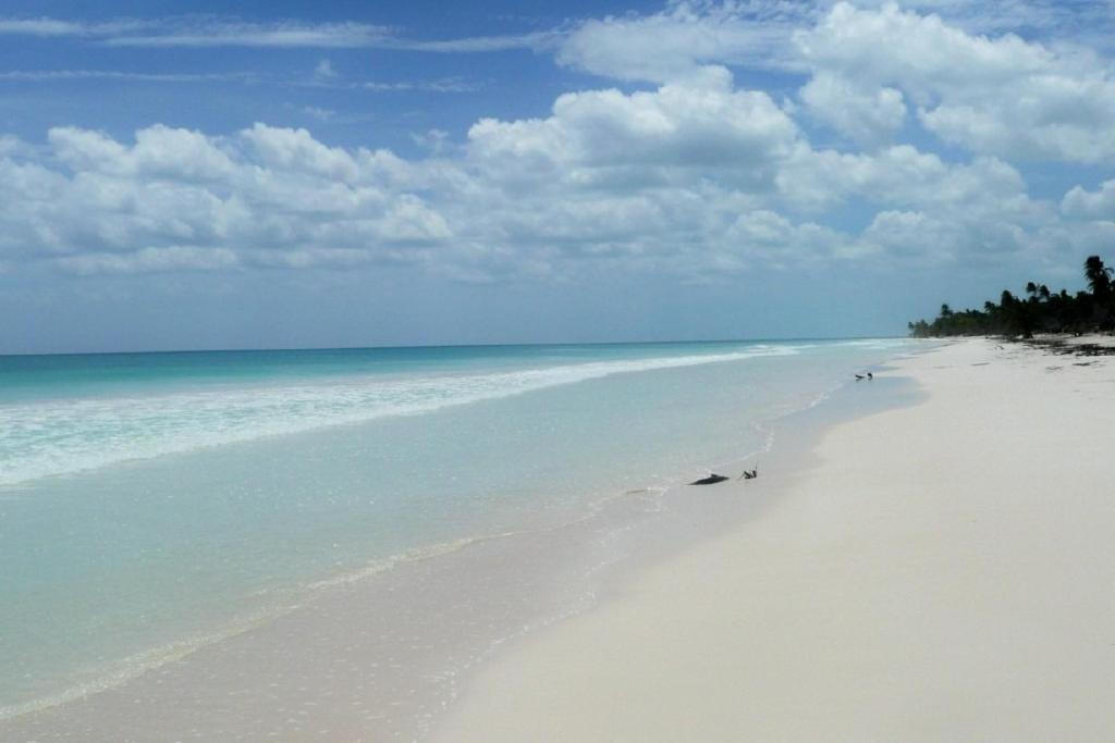 Casa Pelicanos Tulum Beach Mx - Next To Hotel Zone Kültér fotó